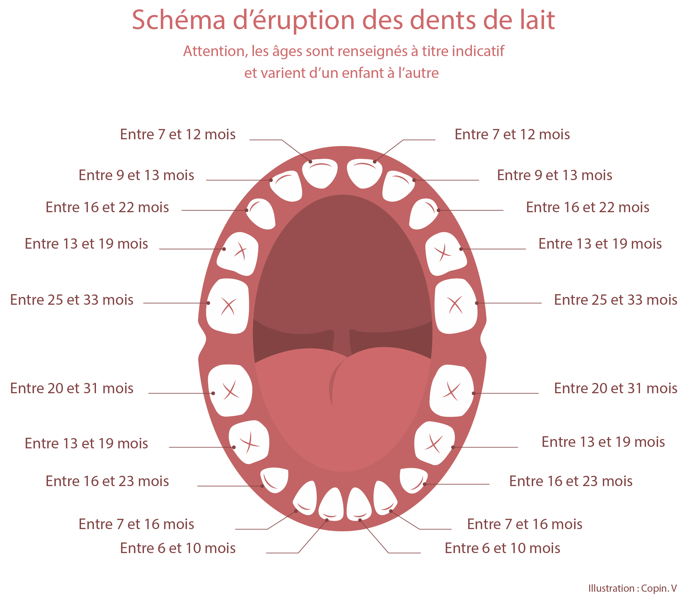 Eruption dentaire
